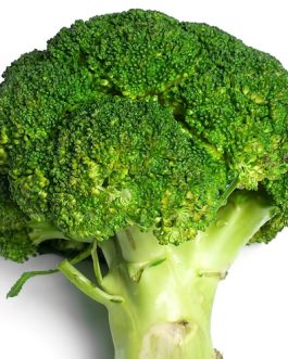 Broccoli